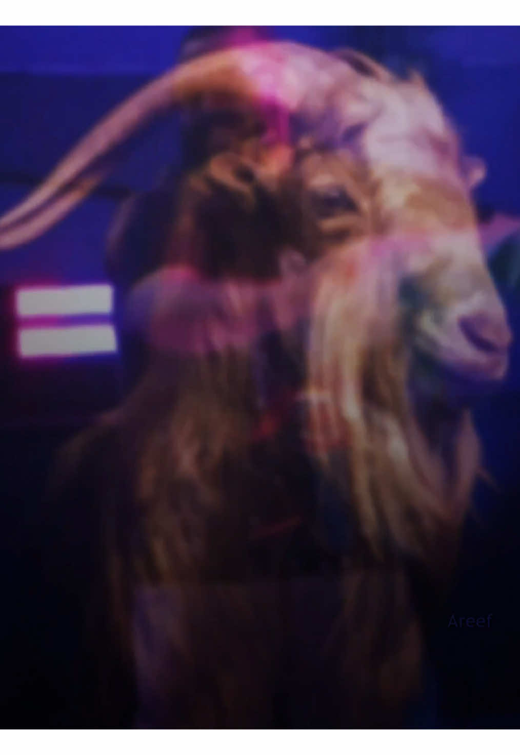 وش اقول وش اخلي ياناس تبارك الرحمن!🦅🤯💚 #viral #fyp #Falcons #فالكونز #ابوعمر #mvp #GOAT @Bo3omarEats 