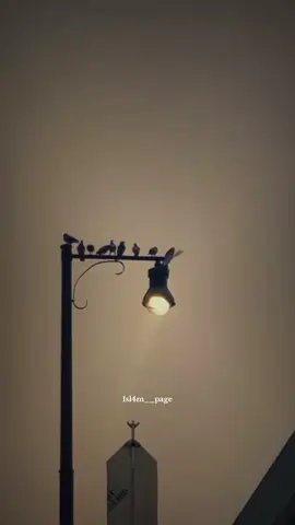وَلَسَوْفَ يُعْطِيكَ رَبُّكَ فَتَرْضَى @ziyad__znj7 😍