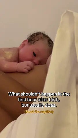 The first hour after birth is sacred. Unless there’s an emergency, most routine procedures can wait. ✨ Here’s what doesn’t need to happen right away: — weighing and measuring — vaccines, vitamin K, or eye ointment — clamping the cord early — interrupting skin-to-skin — taking baby to a warmer — checking the latch, breasts, or perineum — turning on bright lights or filling out paperwork 🤍 Instead, let’s protect the golden hour: — uninterrupted skin-to-skin — wait for the cord to stop pulsing — delay tests and procedures — monitor gently, without disturbing — let baby and parent stay together This time supports bonding, breastfeeding, and a smoother transition into the world — for both baby and the one who gave birth.  #TheGoldenHour #SkinToSkin #PostpartumCare #Doula #DoulaTikTok