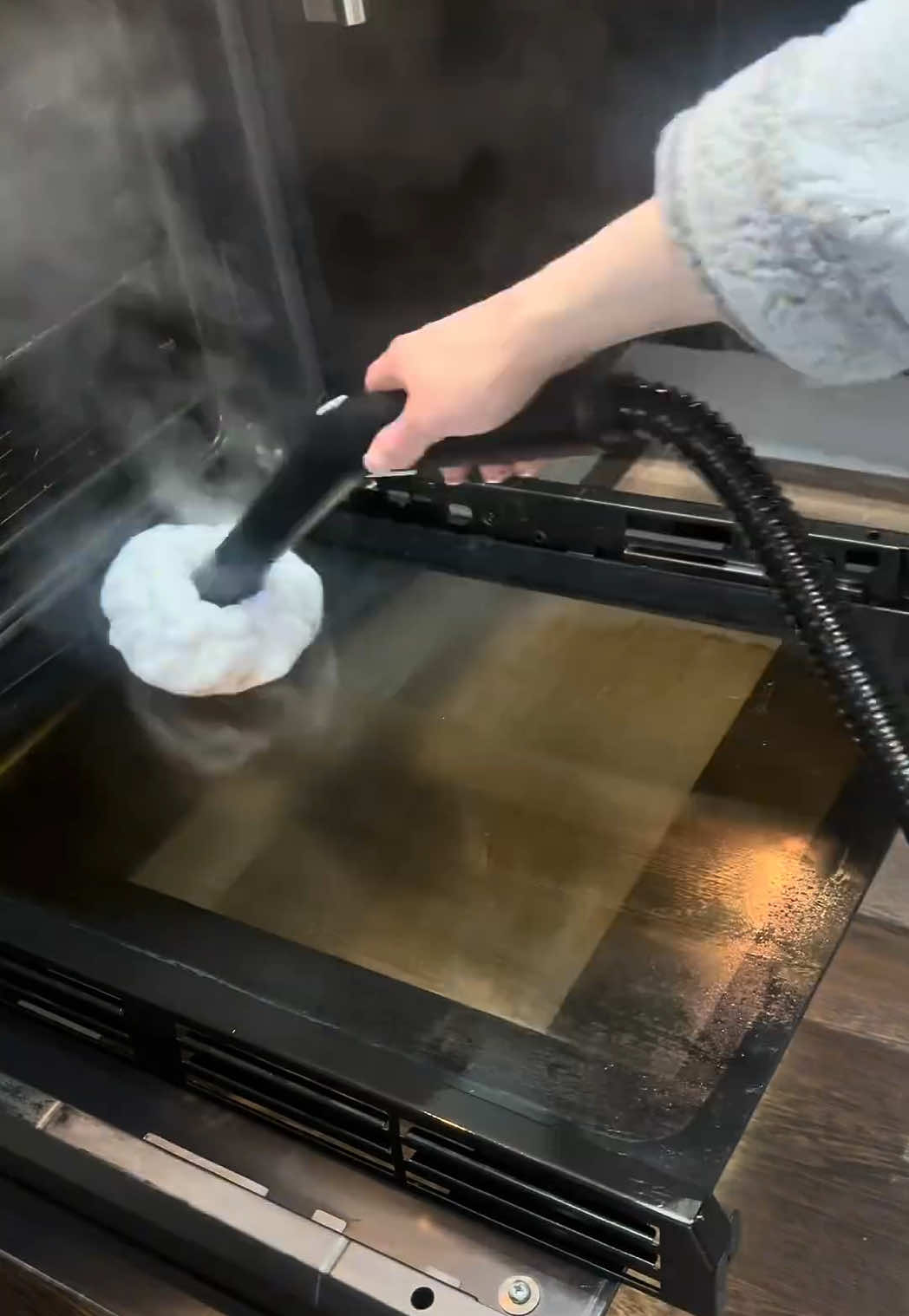 Steam cleaning #steamcleaning #steamcleaner #cleaning #tiktokshop #tiktokmademebuyit 
