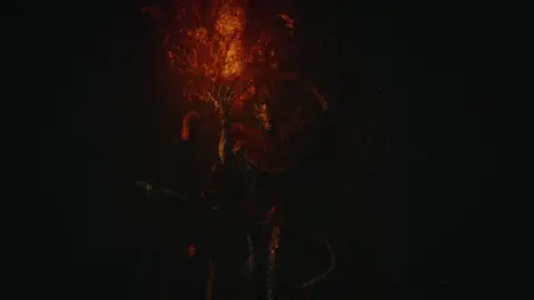 Soon, Tarnished // FULL EDIT // scps: @Joganaut / @OpXg4mer // #eldenring #messmer #shadowoftheerdtree #soulslike #fromsoftware #gameedit #eldenringedit #fypシ #viral #foryoupage #edit 