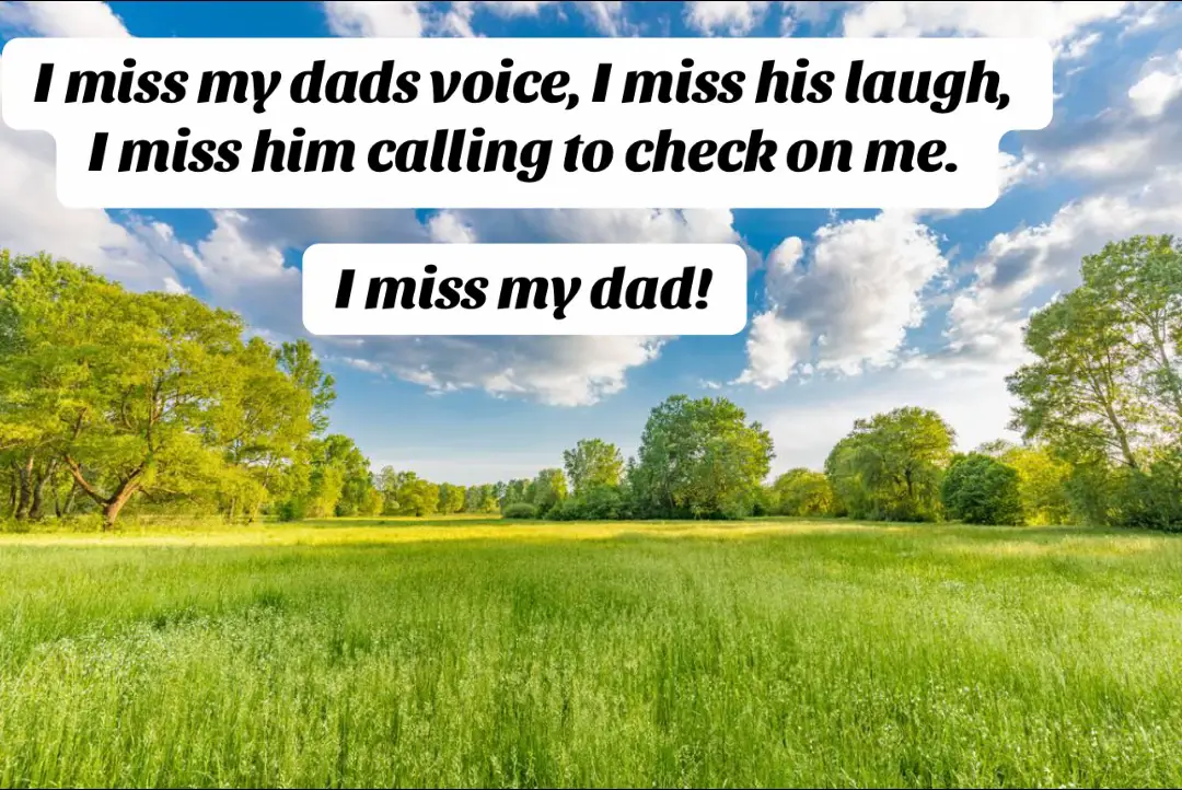 You left us before we was ready but you had to go now your in no pain but left us missing you every single day. Until we meet again I love you Dad. #gonebutneverforgotten #fyp #Dad #dadsdontdie #missyoudad #rip #nomorepain