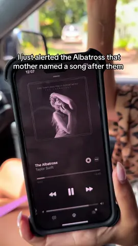 out here doing the lords work #taylorswift #albatros 