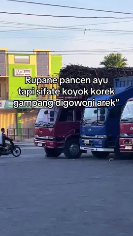 Haha baper pulang saja😜#fypdongggg #sopirkonten #tebu #fypkudus 