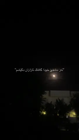 گەلەک ئازاران دکێشم💔#حب #عشق #اليسا #elissa 