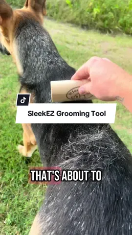 What are you waiting for??Say goodbye to fur-covered everything. Made in America! @SleekEZ USA #sleekezgroomingtool #doggrooming #doublecoateddogs #germanshepherdsoftiktok 