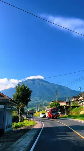 #wonosobo #fyp #diengwonosobo #dieng_wonosobo #wonosobo24jam #healing #dieng #jawatengah #wisata #jalanjalan #wonosoboasri #wonosobohitz 