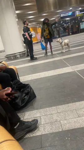 Calm down buddy it ain’t that deep this is a every day life in brum something is always happening #brumtown #brum #virlvideo 