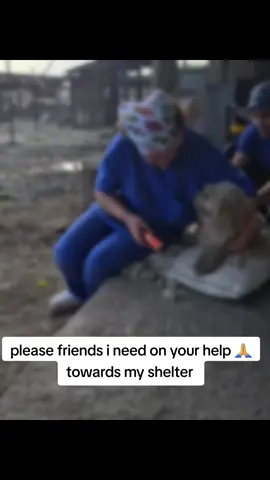 please friends you share with us anything you can please you're the only hope I have so that even I can manage to rescue more hundreds of suffering dogs on the streets 🙏 #support #Scotland #goviral #grow #goviral 