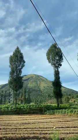 Dieng kembali 4°C❄️❄️ #fyp #foryoupage #dieng #wonosobo #infodieng #homestaydiengmurah 
