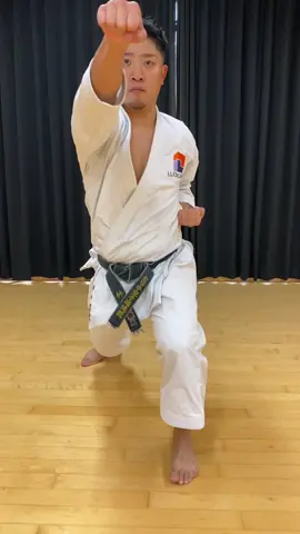 きょうのかた エンピ / ENPI #kishin #kishindojo #karate#global#patreon#karatedojo#wkf
