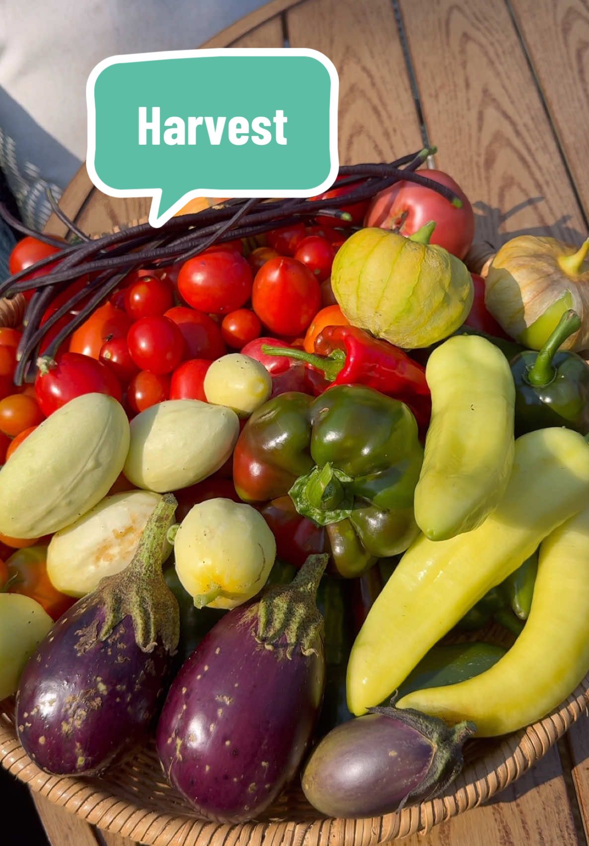 Garden haul 🧺  #gardenharvest #harvesting #gardeninspiration #backyardgarden #growyourownfood #easygardening 