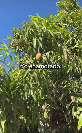 #enamorado #intenso #enamorados #amorverdadero #yoenelamor 