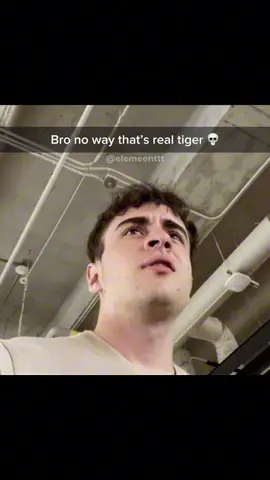 TIGER? 💀😭 #funny #fyp #videoviral #memestiktok #fypシ゚viral #hilarious #elemeenttt 