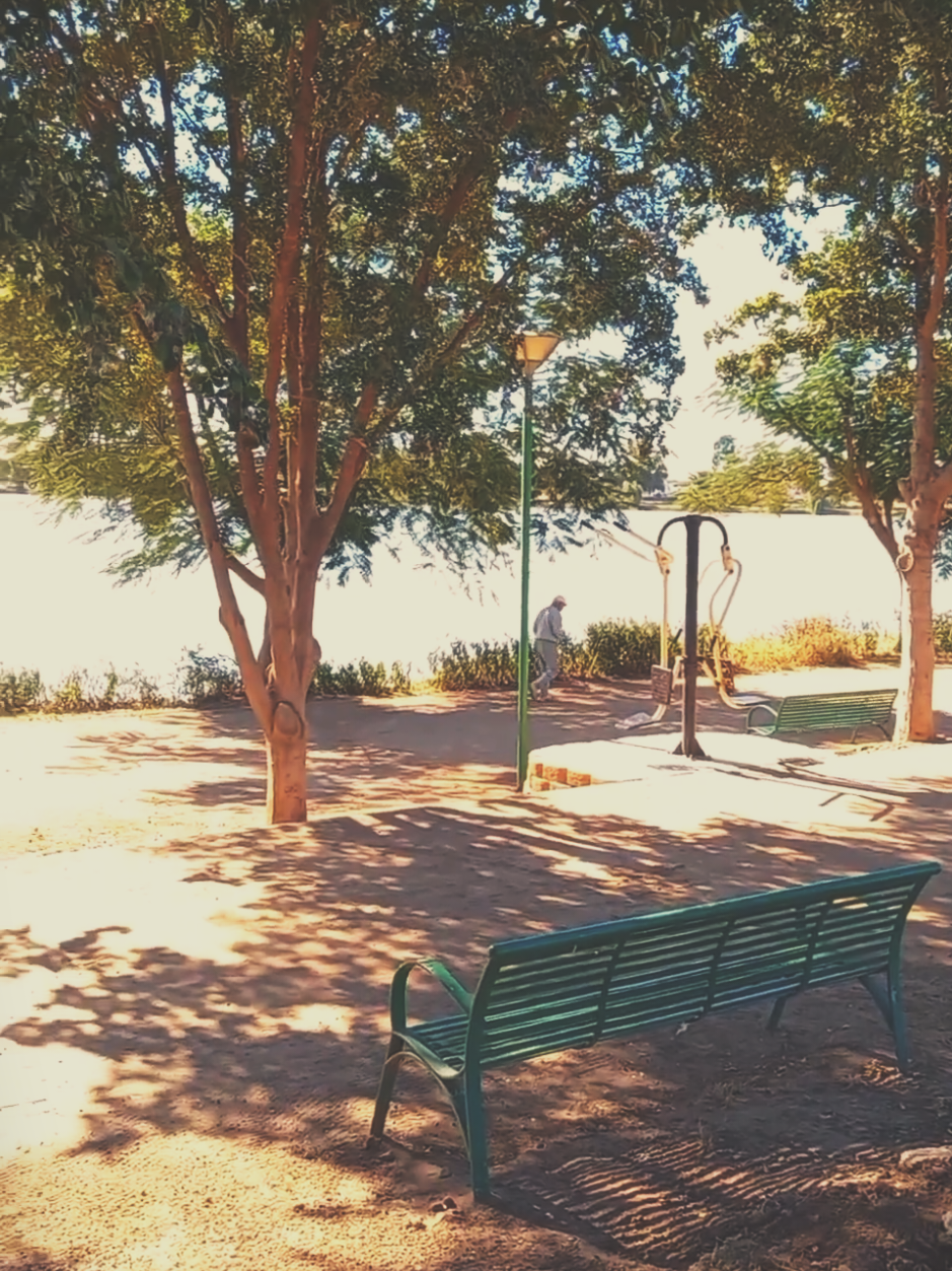 #paisaje #laguna #arboles #naturaleza #paz #tranquilidad #emociones 