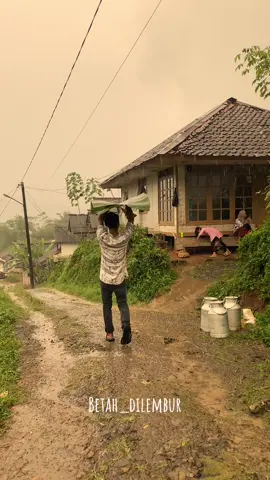 Suasana Hujan deras dipagi hari di kampung halaman , bikin syahdu #suasanapedesaan #kampunghalaman #nature #hujanderas #nostalgia 