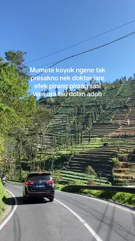 Ajaken dolan cah ben ora mumet😴
