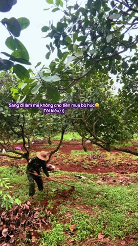 Ai giống tôi không?😆 #xuhuong #anhnongdan #viral #flop #fyp #nongnghiep #sầuriêng #làmnongvuilam 