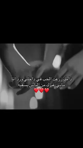 #اكسبلورexplore 