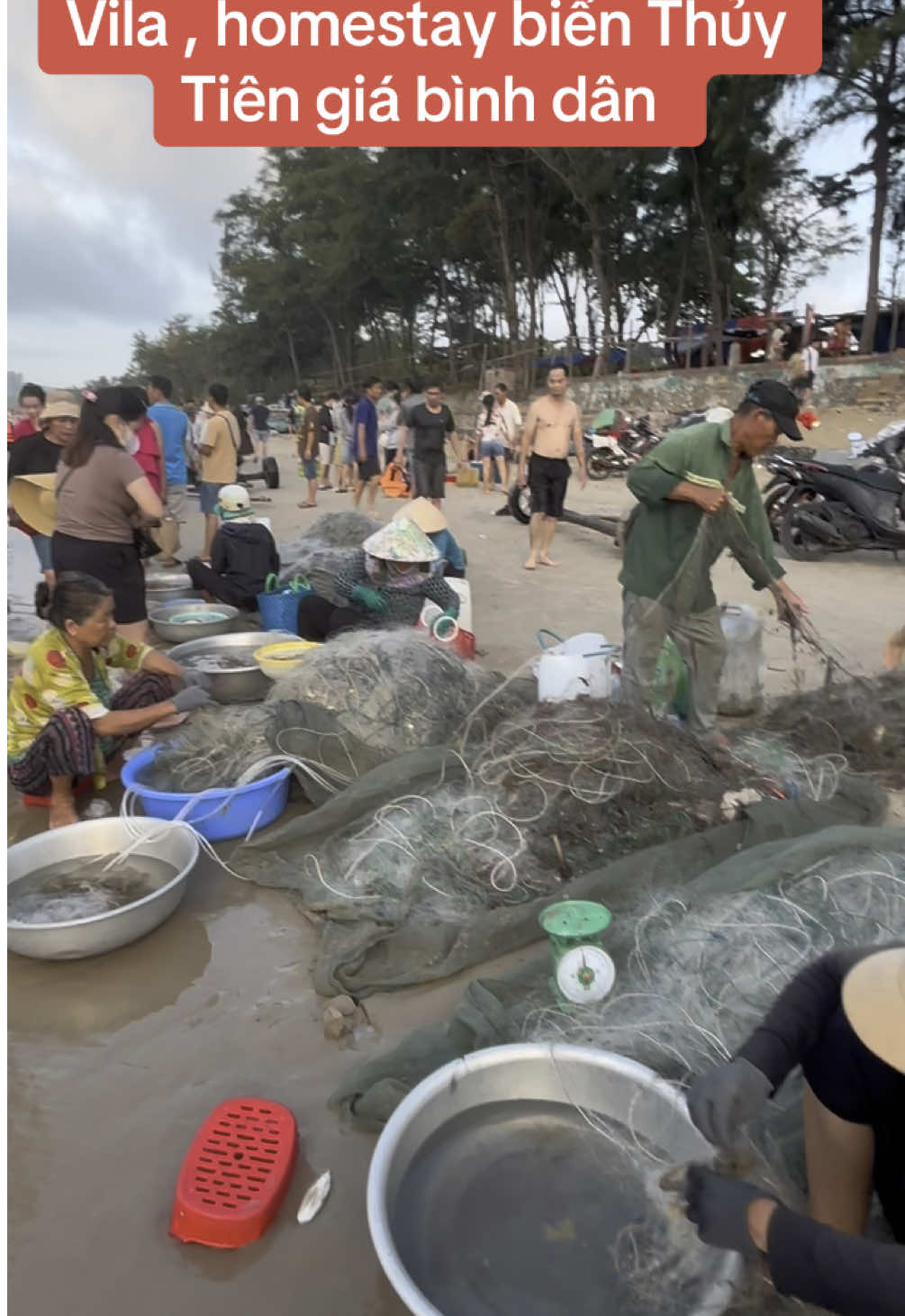 Bãi thủy tiên dành cho ai yêu thích hải sản và tắm biển nhé 