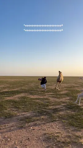 هههههههههههههههههههههههه هههههههههههههههههههههههه #fyp #اكسبلورexplore #foryou #greenscreen #foryou 