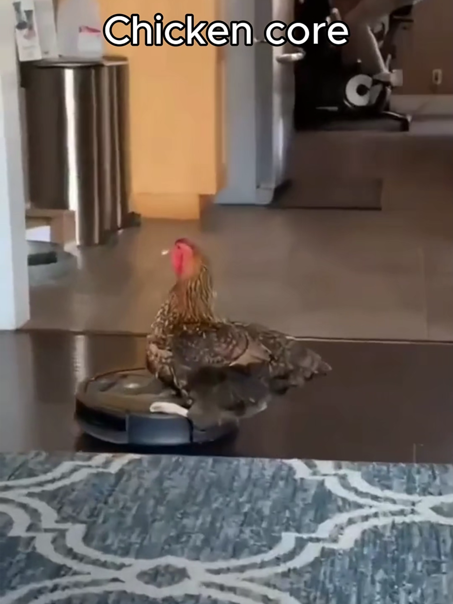 Chicken core 🐔 | #chicken #chickens #chickensoftiktok #chickencore #core #animalcore #cuteanimals #funnyanimals #fyp #animalcorecreator