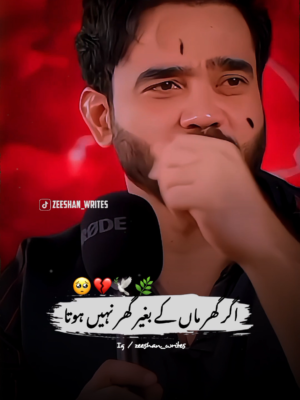 Dear TikTok Team Don't Underview My Videos~🥺💔#onlyforyou #foryoupage #goviral #burhan_tv #100k #views #zeeshan_writes #barkatuzmi 