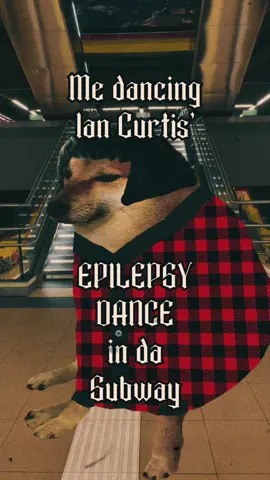 Is a good day for an Ian Curtis’ dance in the subway 🚇. #joydivision #iancurtis #iancurtisdancing #postpunk #postpunkmusic #darkwave #quito_ecuador🇪🇨 