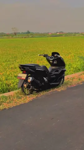 Cv Dua Putra🤙🏻 #pcx160ล้อ17แต่งสวย #pcxfamilytegal #baharithaistyle #pcx160 
