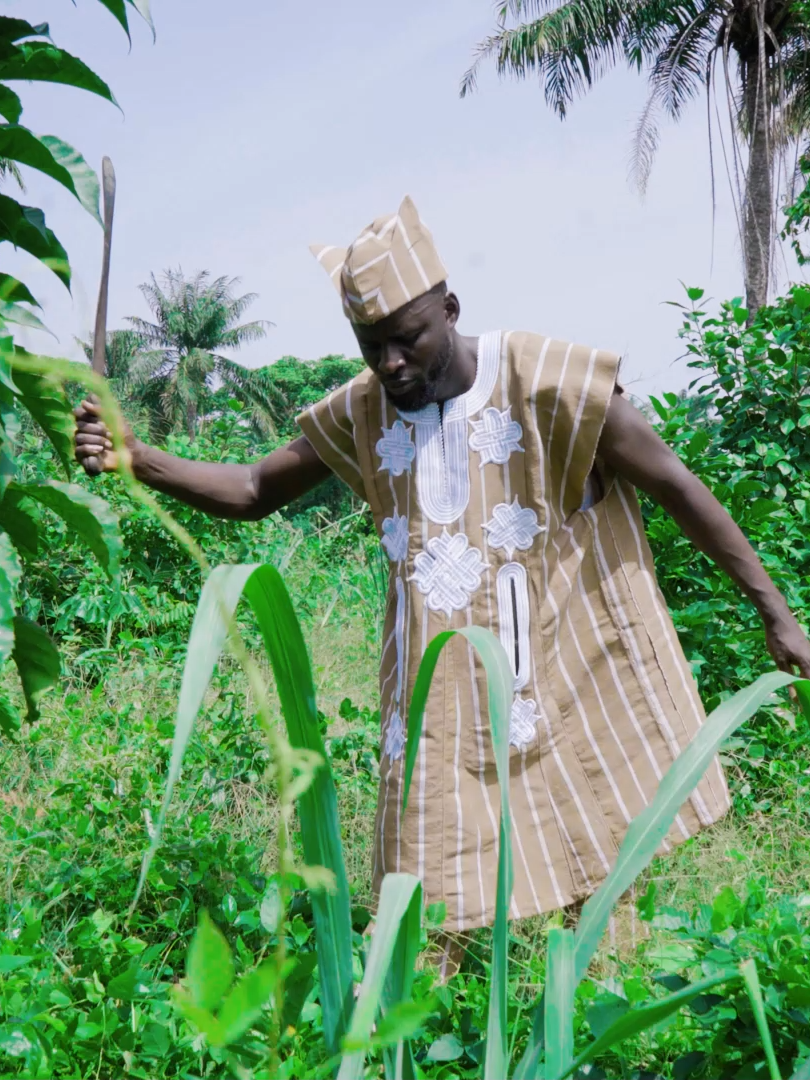 health benefits of Ewe Akoko by Asiwaju Elegboogi