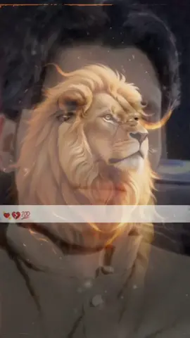 #creatorsearchinsights  #ببرشیر🦁 #viralvideo #foryou #foryoupage #trinding #plzunfrezemyaccount 