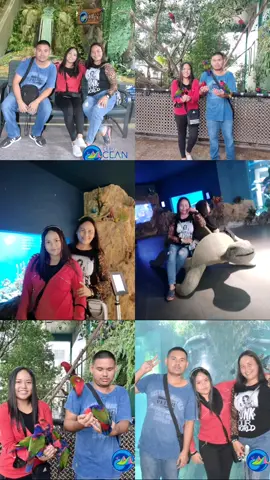 #CapCut #Family#fyppppppppppppppppppppppp #fypシ #happyfamilymoment #cebuoceanpark #❤️❤️❤️❤️❤️❤️❤️ 