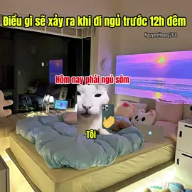 Điều gì sẽ xảy ra khi đi ngủ trước 12h đêm #meme #memecat 