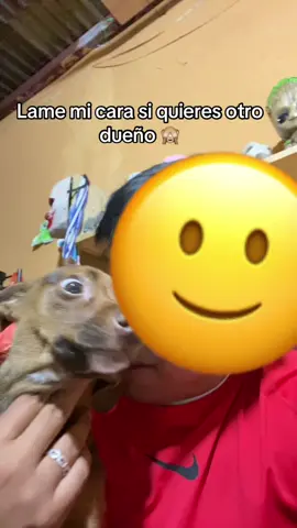 No era la respuesta que esperaba 🥺🥺🥺