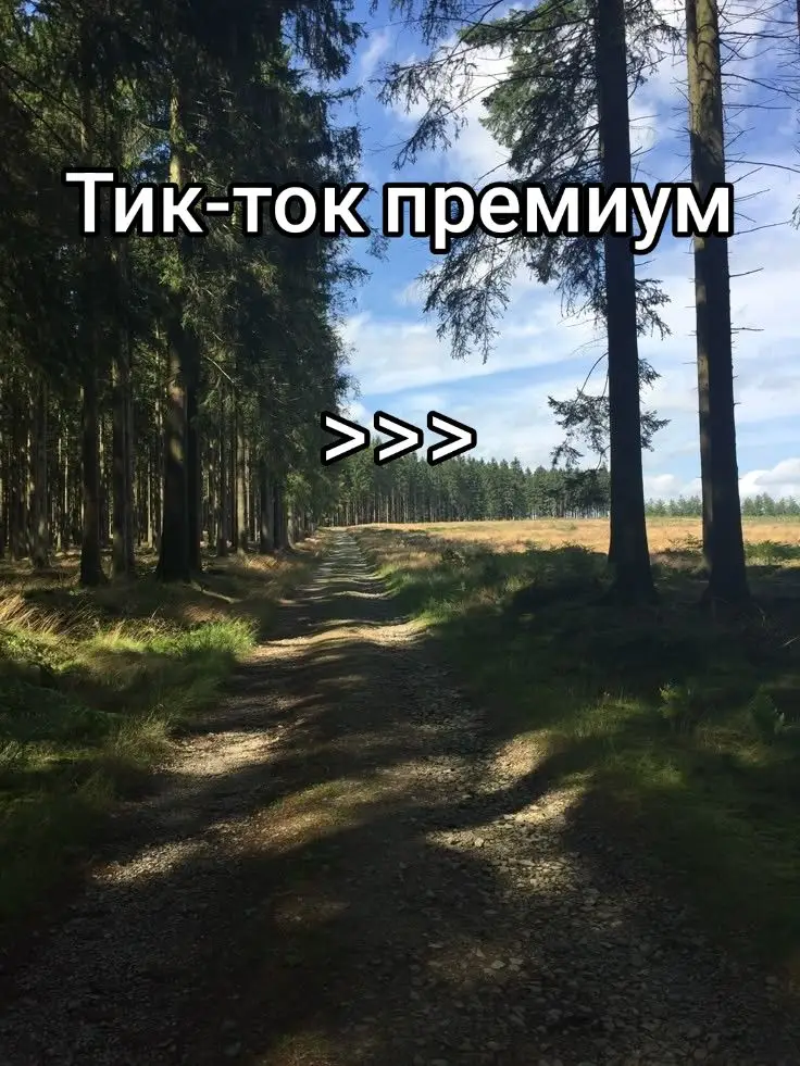 #пубертат #найкпро #лето #вайб #рек #топ #тиктокпремиум