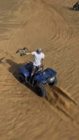 Dubaiii #ratedq #zoom #bird #hard #earth 