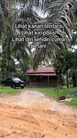 Cuma petani tante😅 #fypシ #hilux4x4 #petanisawit #sawitriau 