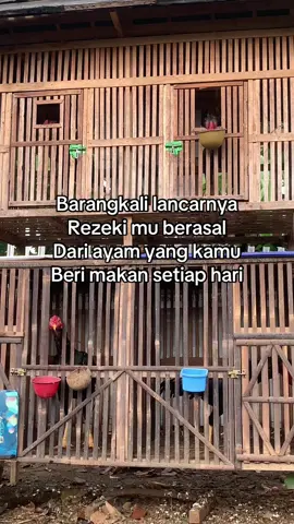 #ayambangkok 