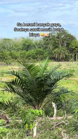 #bosmuda #bossawit #fyp #fypシ #foryou #xybca #fypdong 