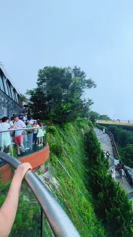 Bà Nà Hills #dulich #dannang #banahills #2025 #xuhuong 