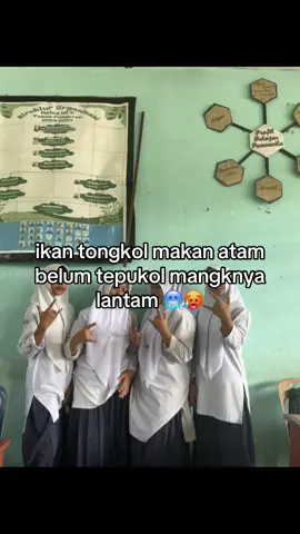 #joks