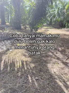 ##fypシ #berandafyfpシ #katakatabatakstory #boru batak💛 