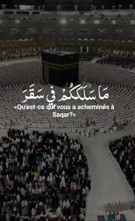 reposé vôtre ouï et votre cœur récitation quran belle voix  #quran_alkarim #quranrecitation #قرآن_كريم_راحة_نفسية #vira #fyp 