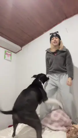Brithany no me deja hacer live tranquila 