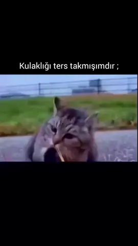 kimler bunu yaşadı 😅🫣 RoadSalvation Espor 🐺 #mizahtürkiye  #roadsalvatıon #roadsalvation #gaming  #komedi 