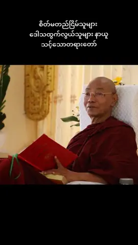 စိတ်မတည်ငြိမ်သူများ ဒေါသထွက်လွယ်သူများ နာယူသင့်သောတရားတော် #ပါချုပ်ဆရာတော်ဘုရားကြီး #fypシ゚viral #fypage 