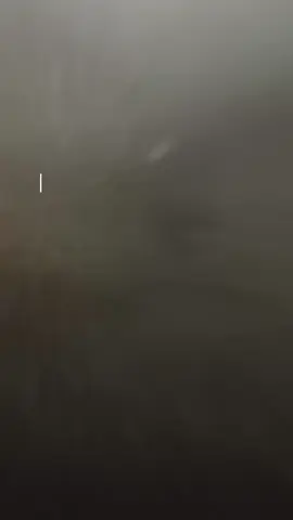 #CapCut 