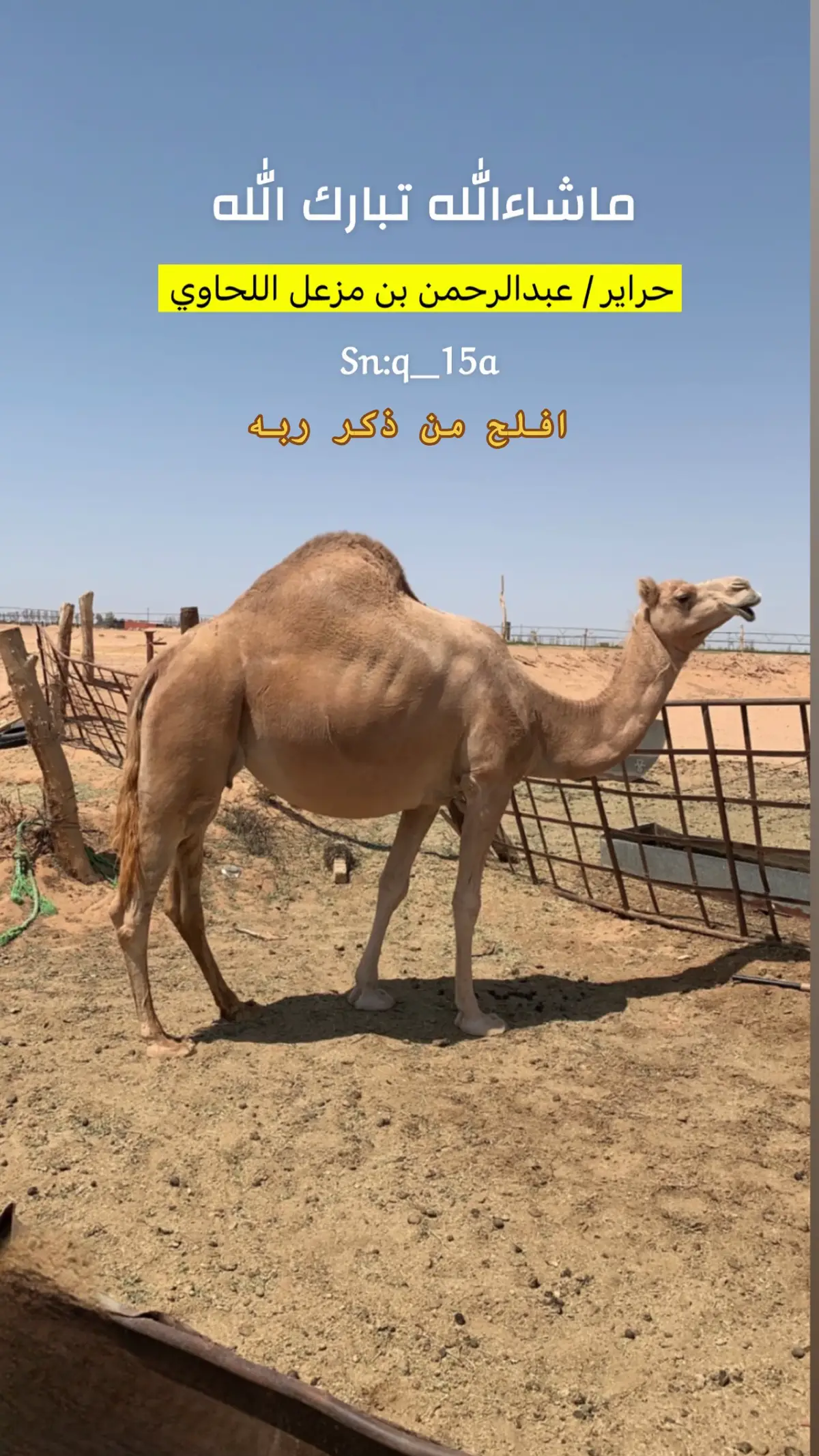#عبدالرحمن_مزعل_اللحاوي 