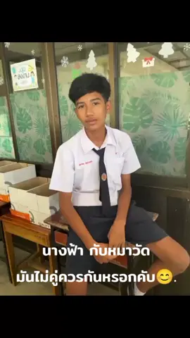 มันไม่คู่ควรกันหรอก🥲#เทรนด์วันนี้ #เด็กใต้ #ตรัง #ฟีดดดシ 