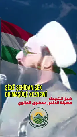 Kurdistan Yan Neman #kurdistan #rojava #qamişlo #kobane #Efrîn 